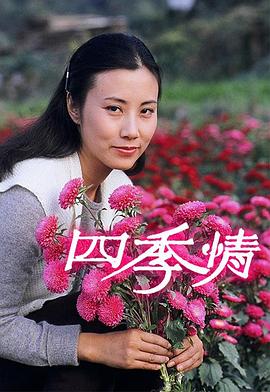 四季情 1981 电视剧 海报