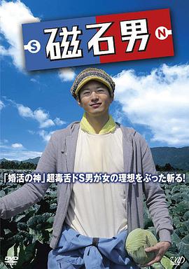 磁石男 2014 电影 海报