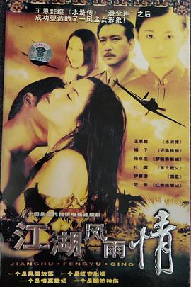 江湖风雨情 1998 电视剧 海报