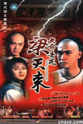 九命奇冤梁天来 电视剧 海报