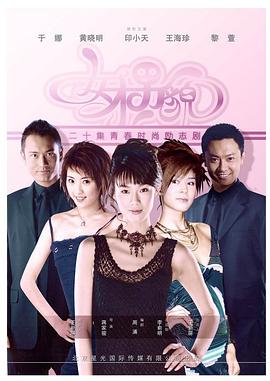 女才男貌 2005 电视剧 海报