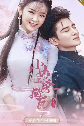 小女上房揭瓦第一季 2020 电视剧 海报