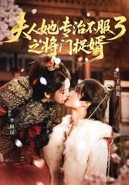 夫人她专治不服3之将门捉婿 2025 短剧 海报