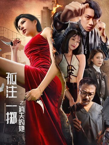 孤注一掷之消失的她 2024 短剧 海报