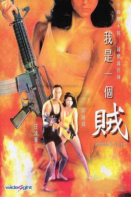 我是一个贼 1995 电影 海报