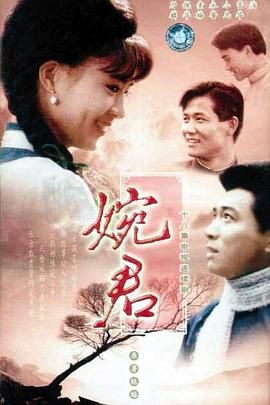 婉君 1990 电视剧 海报