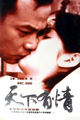 天下有情之天涯路 2000 电视剧 海报