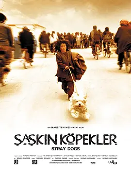 流浪狗2004[电影解说] 2004 电影解说 海报