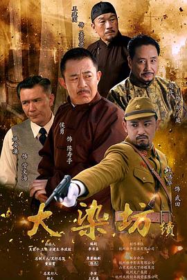 大染坊续 2016 电视剧 海报