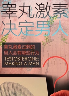 睾丸激素决定男人 2021 纪录片 海报