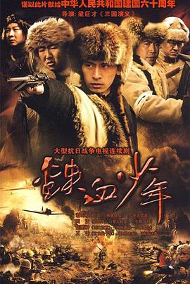 迷魂谷 2009 电视剧 海报