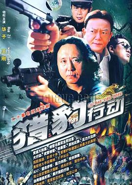 金海岸 1996 电视剧 海报