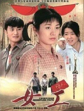 女工 2008 电视剧 海报