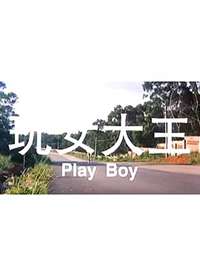 玩女大王 1995 电影 海报