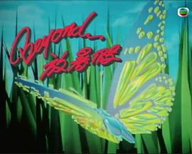 Beyond放暑假 1991 综艺 海报