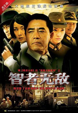 智者无敌 2011 电视剧 海报