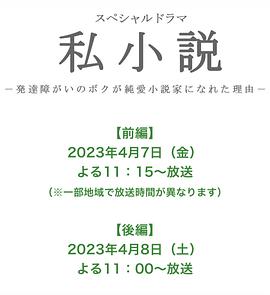 私小说 2023 电视剧 海报