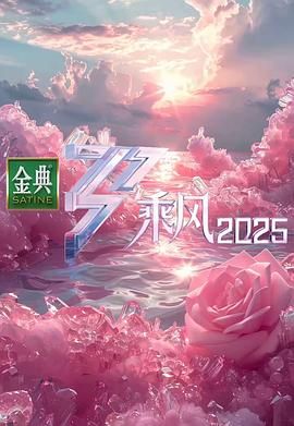 乘风2025 2025 综艺 海报