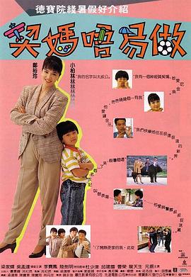 契妈不易做(国语版) 1991 电影 海报