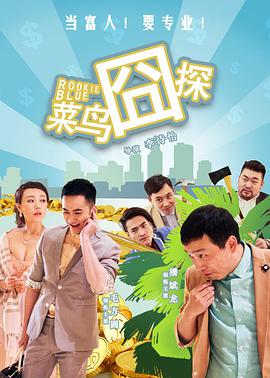 菜鸟囧探 2017 电影 海报