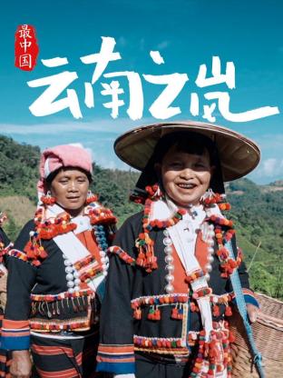 最中国云南之岚 2023 纪录片 海报