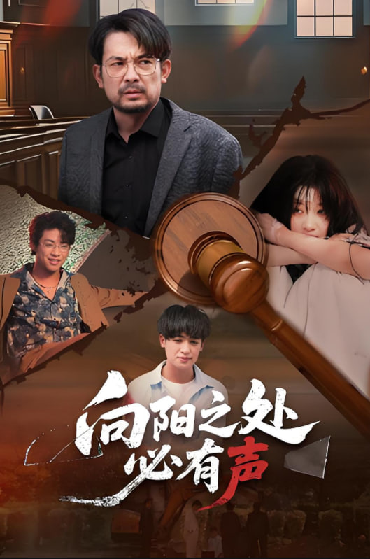 向阳之处必有声 2025 短剧 海报