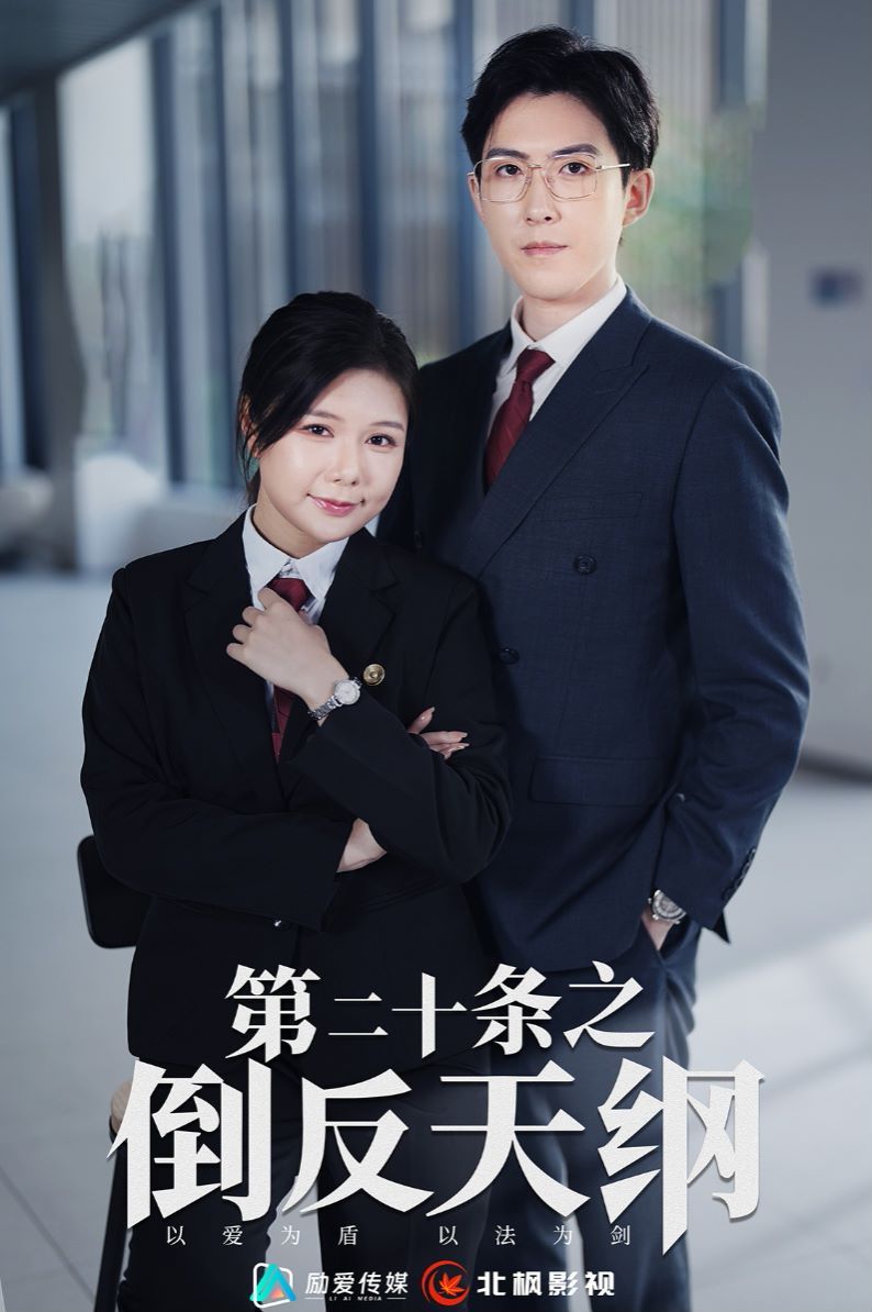 第二十条之倒反天纲 2024 短剧 海报