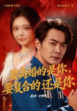 要离婚的是你,要复合的还是你 2026 短剧 海报