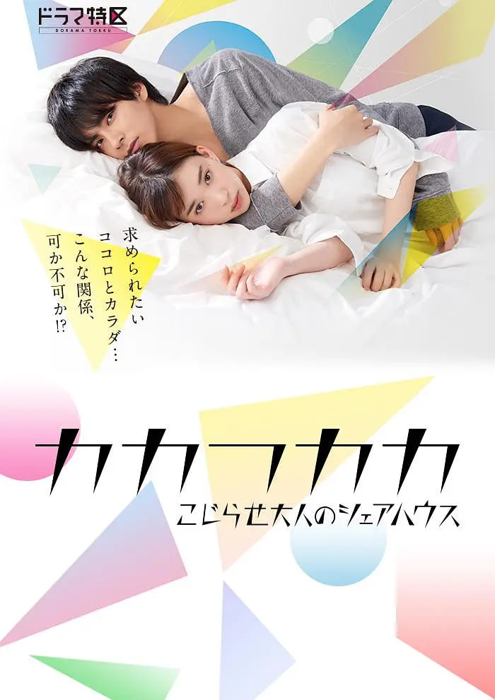 别扭合租房 2019 电视剧 海报