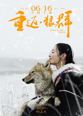 重返·狼群 2017 纪录片 海报