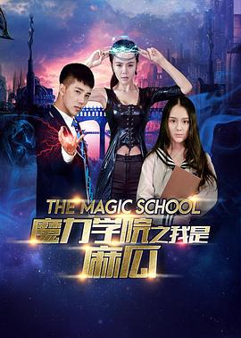 魔力学院之我是麻瓜 2016 电影 海报