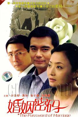 婚姻密码 2011 电视剧 海报