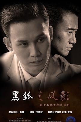 黑狐之风影 2016 电视剧 海报