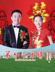 第九个女婿 2017 电影 海报