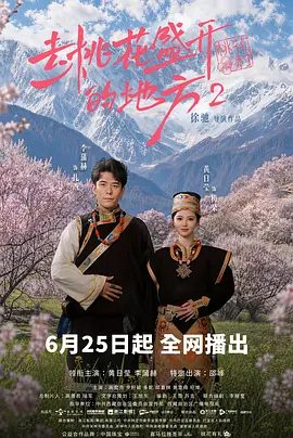 去桃花盛开的地方2 2026 电视剧 海报