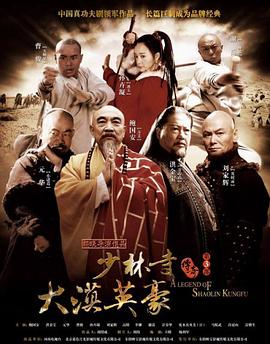 少林寺传奇之大漠英豪 2010 电视剧 海报