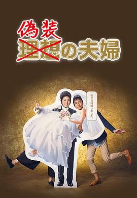 伪装夫妇2015 2015 电视剧 海报