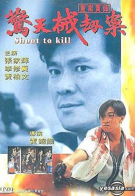 重案实录之惊天械劫案 1994 电影 海报