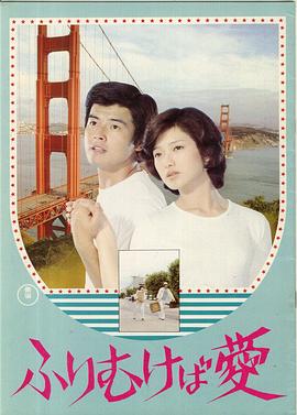 鸢之恋 1978 电影 海报