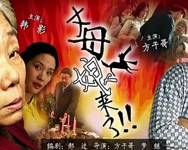 丈母娘来了 2002 电影 海报