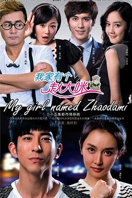 我家有个赵大咪 2013 电视剧 海报