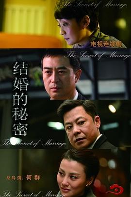 结婚的秘密 2014 电视剧 海报