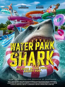 Water Park Shark 2026 电影 海报