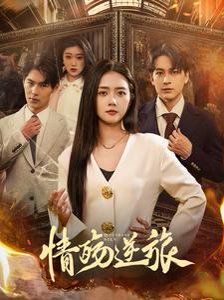 情殇逆旅 2025 短剧 海报