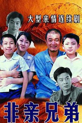 非亲兄弟 2005 电视剧 海报