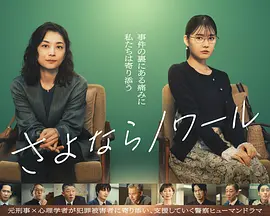 再见黑色 2026 电视剧 海报
