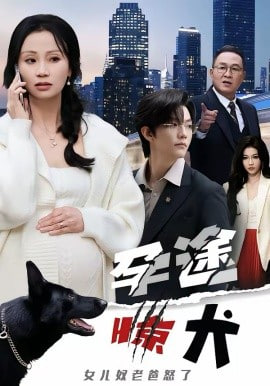 孕途惊犬，女儿奴老爸怒了 2026 短剧 海报