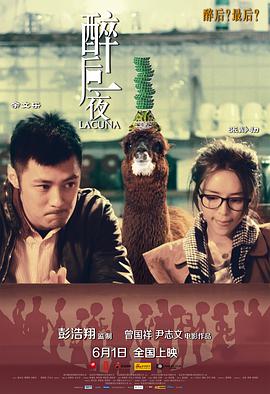 醉后一夜 2012 电影 海报