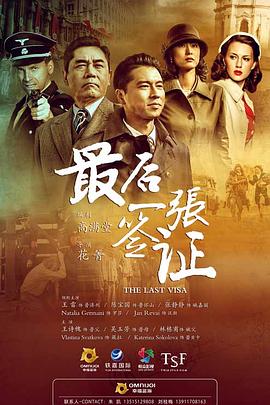 最后一张签证 2017 电视剧 海报