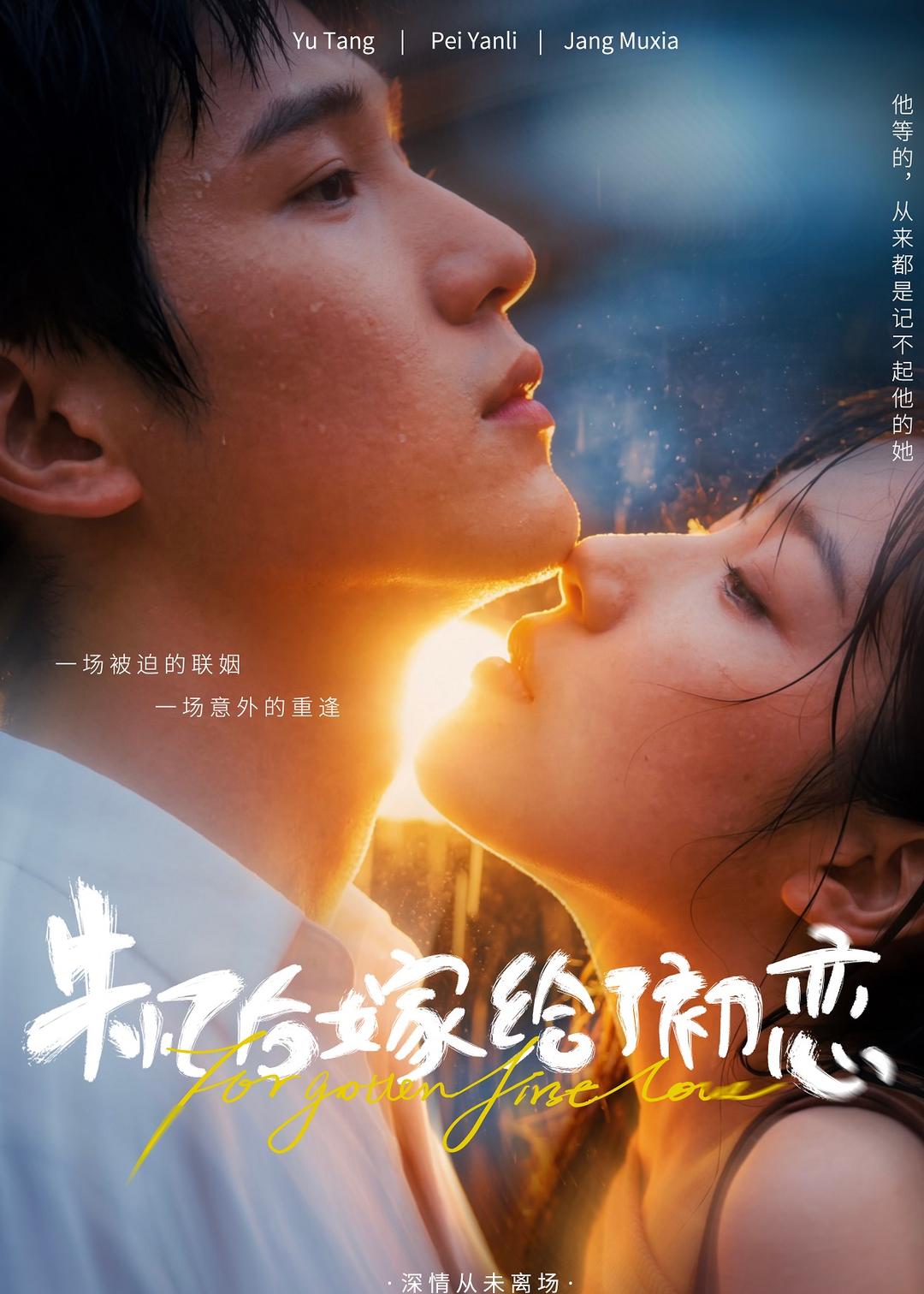 失忆后嫁给了初恋 2026 动漫 海报
